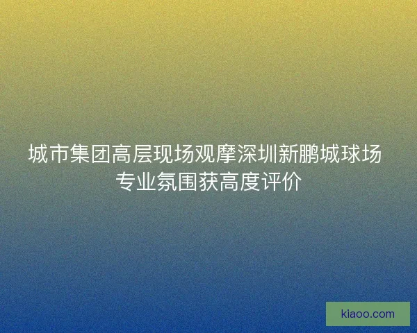 城市集团高层现场观摩深圳新鹏城球场 专业氛围获高度评价