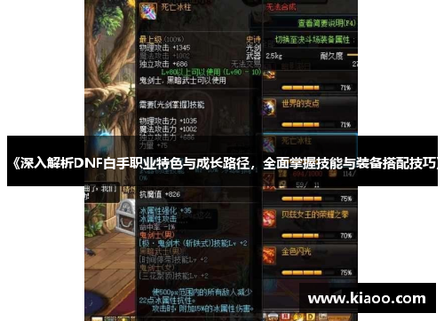 《深入解析DNF白手职业特色与成长路径，全面掌握技能与装备搭配技巧》